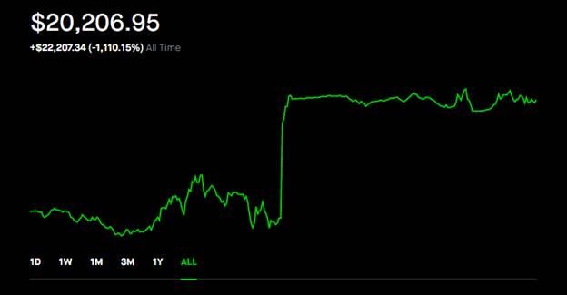 robinhood stock profit calculator