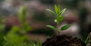 Impact Investing